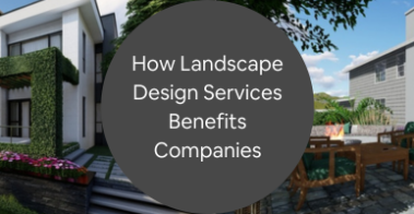 landscape rendering company