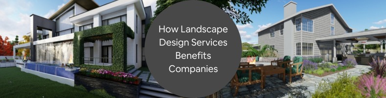 landscape rendering company