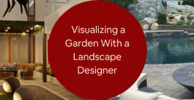 3d landscape design services