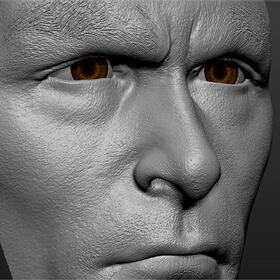 3D face sculpting