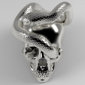 Skull & Snake