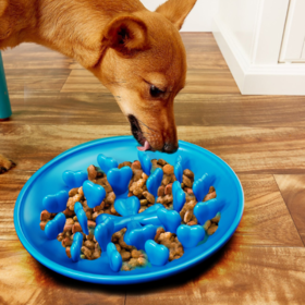 Dog slow feeder dish design