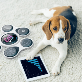 Dog communication board and app